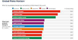 The Global Risks Report 2021