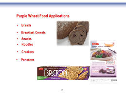 Use them in commercial designs under lifetime, perpetual & worldwide rights. 1 Developing Purple Wheat As A Source Of Anthocyanin Pigments For Food And Non Food Applications El Sayed M Abdel Aal 1 Guelph Food Research Centre Guelph Ppt Download