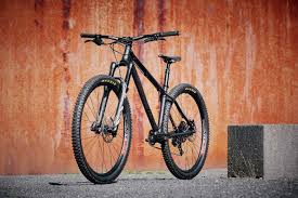 Last Fast Forward 29 Steel Mountain Biking Hardtail Mountain Bike Downhill Bike