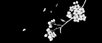 Black And White Anime Twitter Header Degausser Twitter Header Aesthetic Black And White Aesthetic Twitter Header Photos