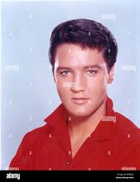 Elvis presley portrait hi-res stock photography and images