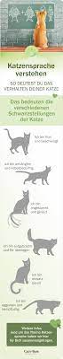 Pin Auf Katzenhaltung Tipps Tricks