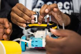 Image result for Olinia chimanimani