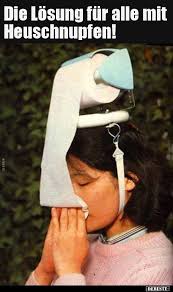 Dieser pinnwand folgen 1061 nutzer auf pinterest. Die Losung Fur Alle Mit Heuschnupfen Lustige Bilder Spruche Witze Echt Lustig Inventions Funny Pictures Useless Inventions