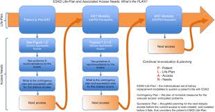 Maybe you would like to learn more about one of these? Kdoqi Clinical Practice Guideline For Vascular Access 2019 Update American Journal Of Kidney Diseases