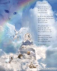 Prayer for pets rainbow bridge. This Isn T The End It S A Brand New Start Pet Grief Pet Loss Grief Pet Poems