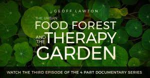 Geoff has undertaken thousands of jobs teaching, consulting, designing, administering and implementing, in 6 continents and close to. Pdc 2 0 Permaculture Noosa
