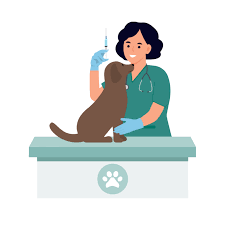 Find No. 1 Pet Clinic Near You | Pet Grooming in Bangalore