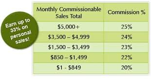Earn Extra Income Become A Consultant Pampered Chef