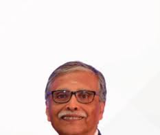 Activity Report 2024