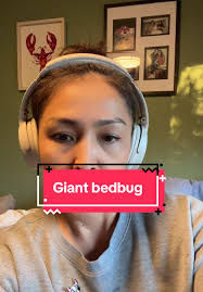 Amber Oneal Stinkface