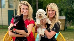 Le type de virement, la fréquence, les établissements bancaires des émetteurs et récepteurs, le caractère national ou international du. Animaux A Adopter Sur C8 La Spa De Saint Omer Dans La Troisieme Saison