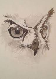 Owl Feathers Google Search Owls Drawing Drawings Animal Drawings
