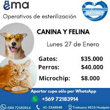 Clínica Veterinaria Medpet