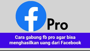 Facebook Pro