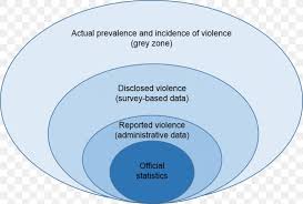 Data Collection Violence Against Women Domestic Violence