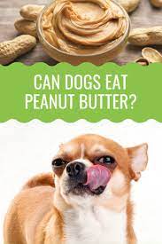 Can Dogs Eat Peanut Butter Barking Royalty Can Dogs Eat Peanut Butter Dog Nutrition