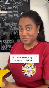 Working with dogs everyday we see A LOT of different breeds! We love them  all for their unique features but these are some staff favorites! , Do you  have a favorite breed?