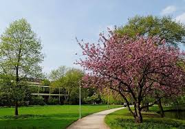 Its current status is listed as active. Ortsangabe Floragarten Die Kleine Grune Oase Mitten In Bilk The Dusseldorfer Das Lokale Online Magazin