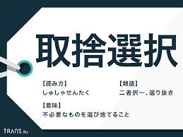 TRANS.Biz