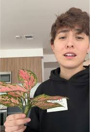 Aggie Stone Still Alive