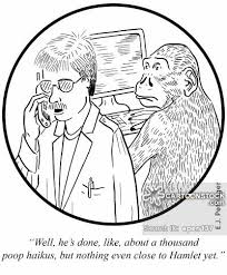 Image result for monkey picture cartoon