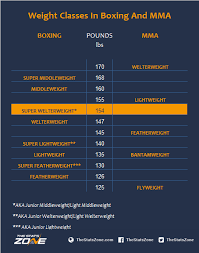 Some ufc weight classes simply have more gifted fighters than the others. Mayweather Vs Mcgregor Breaking Down The Stats The Stats Zone
