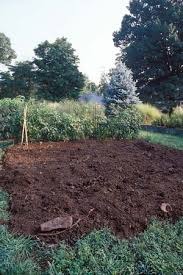 Remove old plant matter like the roots, twigs or leaves. 8 Steps For Making Better Garden Soil Mother Earth News