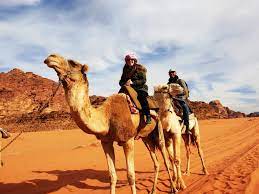 This incident really shocked us as we just can't believe that the guys could be so cunning to scam us in such a way, and we thought that the people in the area was very friendly and helpful, based on our good experience before the incident. 7 Days In Jordan An Itinerary For First Time Visitors Travelpassionate Com