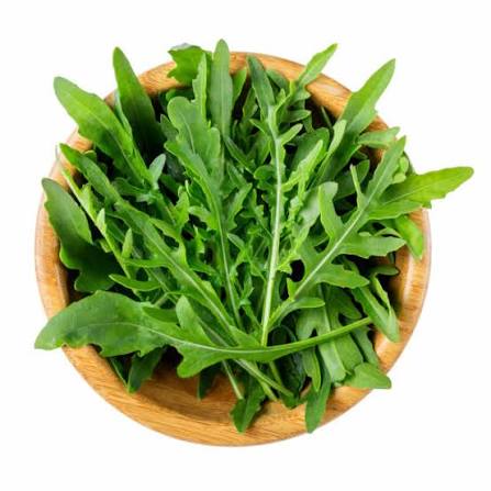 طرح توجیهی اقتصادی