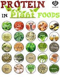 10 Smart Health Resolutions 10 Foods With Iron Health Food Nutrition