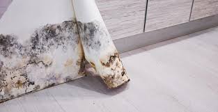 Appliquez le mélange sur la moisissure avec un chiffon ou un vaporisateur. 5 Astuces De Grand Mere Pour Eliminer Les Moisissures M6 Deco Fr