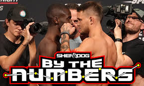 By The Numbers: William Gomis vs. Jarno Errens