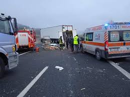 Un tir e un furgoncino si sono. Un Furgone Staffetta Per Trasportare I Cani Da Adottare Coinvolto In Un Incidente Morte Due Persone E Un Cane