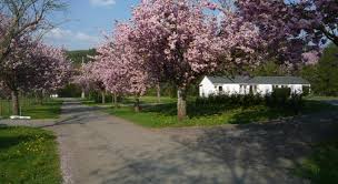 Time difference between rendeux and other cities. Le Brissoneau Rendeux Belgium 2021 Reviews Pictures Deals