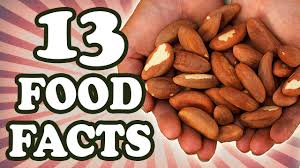 We did not find results for: Brazil Nuts Are Not From Brazil And 12 Other Food Facts Youtube