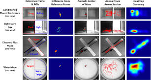 Rob schneider, colleen haskell, john c. Eztrack An Open Source Video Analysis Pipeline For The Investigation Of Animal Behavior Scientific Reports