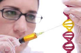 SPINAL RESEARCH FOUNDATION