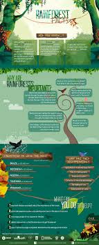 Check Out This Infographic By Oak Furniture Uk To Know More About The Importance Of Rainforests Rainforest Facts Rainforest Project Rainforest Classroom