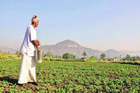 Mandaldigital বাংলা youtube channel create for — government form fillup, govt job related questions and answers, govt scheme, jojona news , all guide in bengali language. Pm Kisan Benefits Reach Wb Farmers 7 03 Lakh Farmers Get 1st Installment Of Rs 2 000 Each The Financial Express
