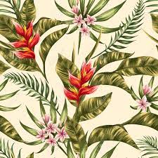 Tropical flowers of plumeria and hibiscus at the label. Tropical Floral Seamless Pattern With Plumeria And Hibiscus Flowers Royalty Free Cliparts Vectors And Stock Illustration Image 45581868