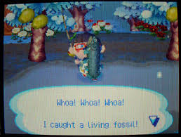 Coelacanth Animal Crossing Wiki Fandom