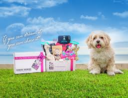They currently offer 2 subscriptions: List Of The Best Pet Subscription Boxes Stay At Home Mum
