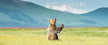 New album 'medicine at midnight' out feb. Thank The Foo Fighters For Keeping Us Safe From Foo