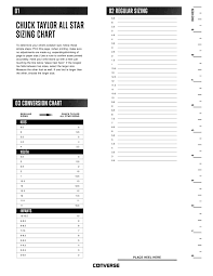 13 Comprehensive Converse Sizing