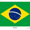 The used colors in the flag are blue, green, yellow, white. 1