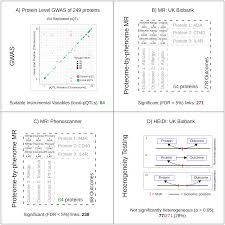 Genetic disorders are traits that vary, and they are influenced by the environment. Plos Genetics Linking Protein To Phenotype With Mendelian Randomization Detects 38 Proteins With Causal Roles In Human Diseases And Traits
