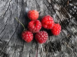Typically, berries are juicy, rounded, brightly colored, sweet, sour or tart, and do not have a stone or pit, although many pips or seeds may be present. 15 Lesser Known Berries You Should Try Serious Eats