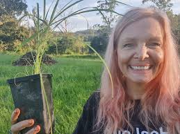 Carbon_Dating: The Art, Science, Culture and Conservation of Australian  Native Grasses: Site Page