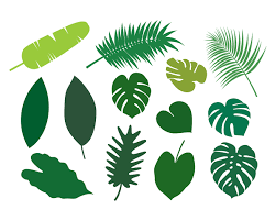 Download Tropical Leaves Svg On Behance